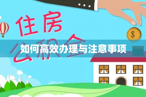 周宁如何高效办理与注意事项