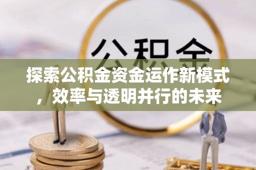 周宁探索公积金资金运作新模式，效率与透明并行的未来