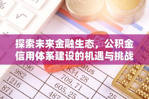 周宁探索未来金融生态，公积金信用体系建设的机遇与挑战
