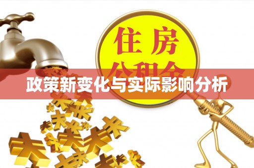 周宁政策新变化与实际影响分析