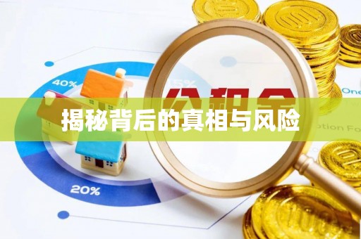 周宁揭秘背后的真相与风险