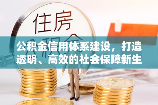周宁公积金信用体系建设，打造透明、高效的社会保障新生态