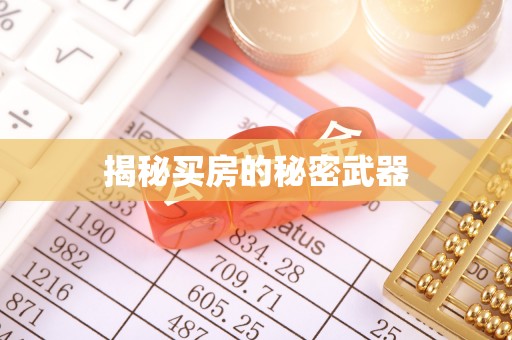 周宁揭秘买房的秘密武器