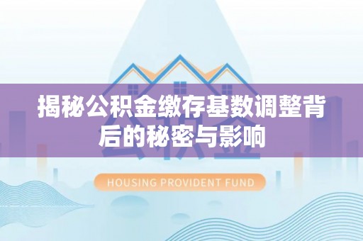 周宁揭秘公积金缴存基数调整背后的秘密与影响