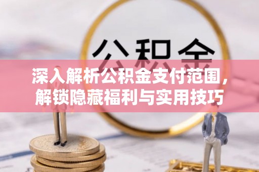 周宁深入解析公积金支付范围，解锁隐藏福利与实用技巧