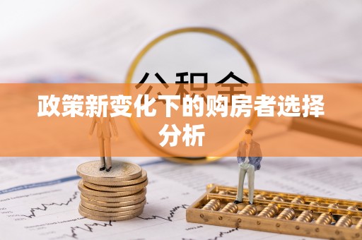 周宁政策新变化下的购房者选择分析