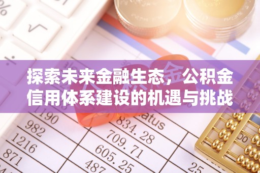 周宁探索未来金融生态，公积金信用体系建设的机遇与挑战