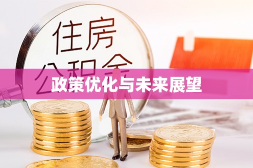 周宁政策优化与未来展望