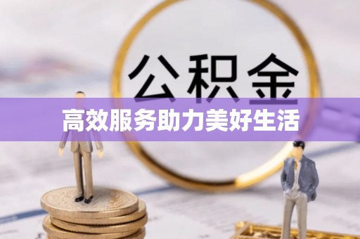 周宁高效服务助力美好生活