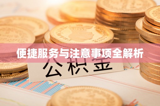 周宁便捷服务与注意事项全解析