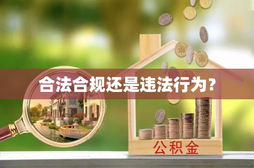 周宁合法合规还是违法行为？