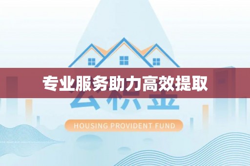 周宁专业服务助力高效提取