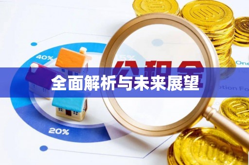 周宁全面解析与未来展望