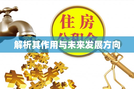 周宁解析其作用与未来发展方向