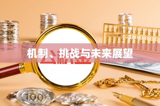 周宁机制、挑战与未来展望