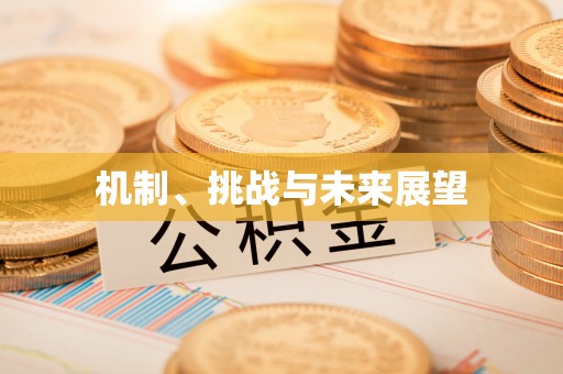 周宁机制、挑战与未来展望